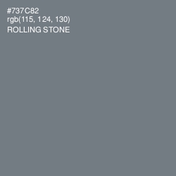 #737C82 - Rolling Stone Color Image